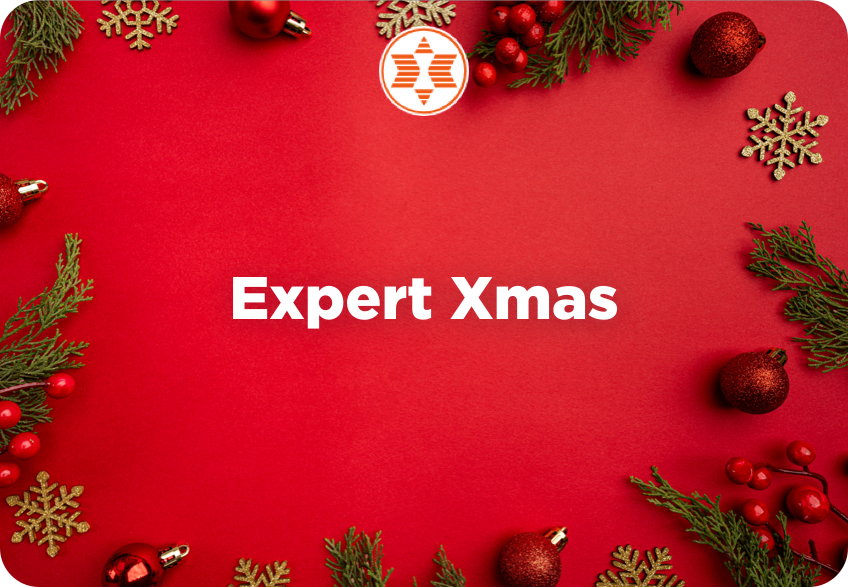Expert Xmas